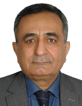 Hamid Saremi
